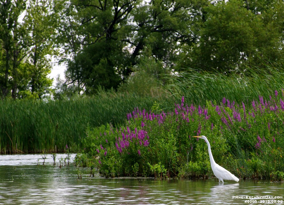 46095RoCrLeSh - Last vacation kayak outing - With Beth on Duffins Creek